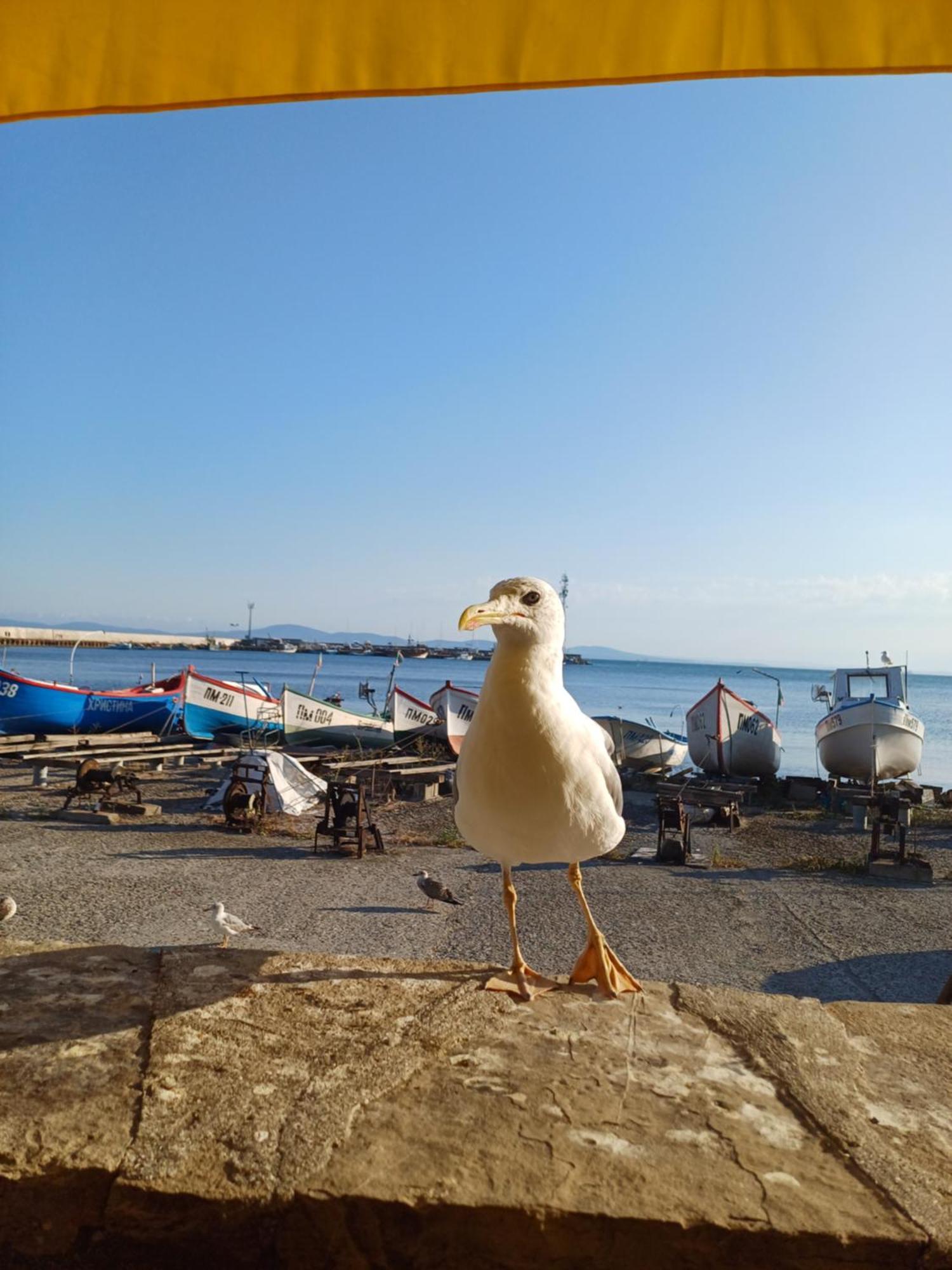 Апартаменти И Стаи За Гости Анхиало Pomorie Bagian luar foto